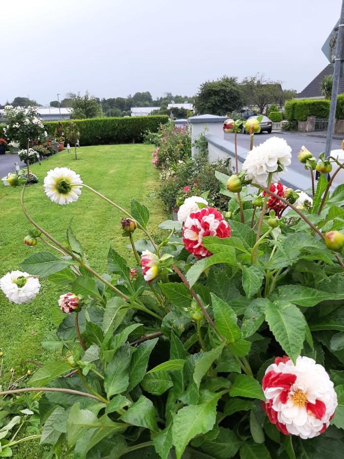 Hillgrove House Leilighet Boyle Eksteriør bilde
